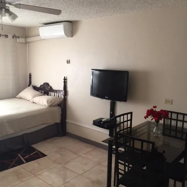 Chelsea Manor Apartment Kingston